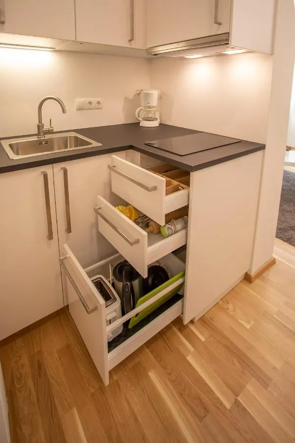 Cozy 1-Bedroom Apartment In Innsbruck Center 0*,  Austria